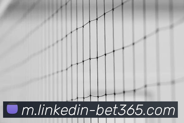 bet365平台生态图